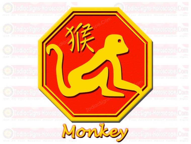 I-Monkey Chinese Zodiac Sign