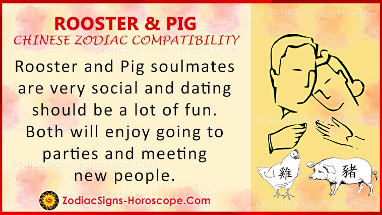 Rooster and Pig Compatibility