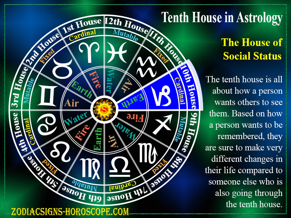 What does 10th house indicate?