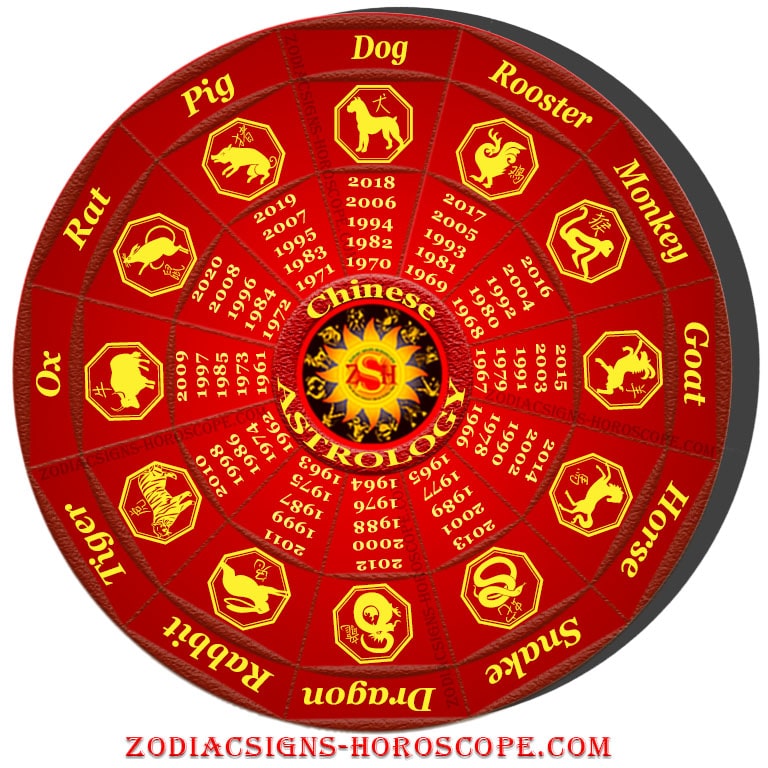 Image result for chinese astrology