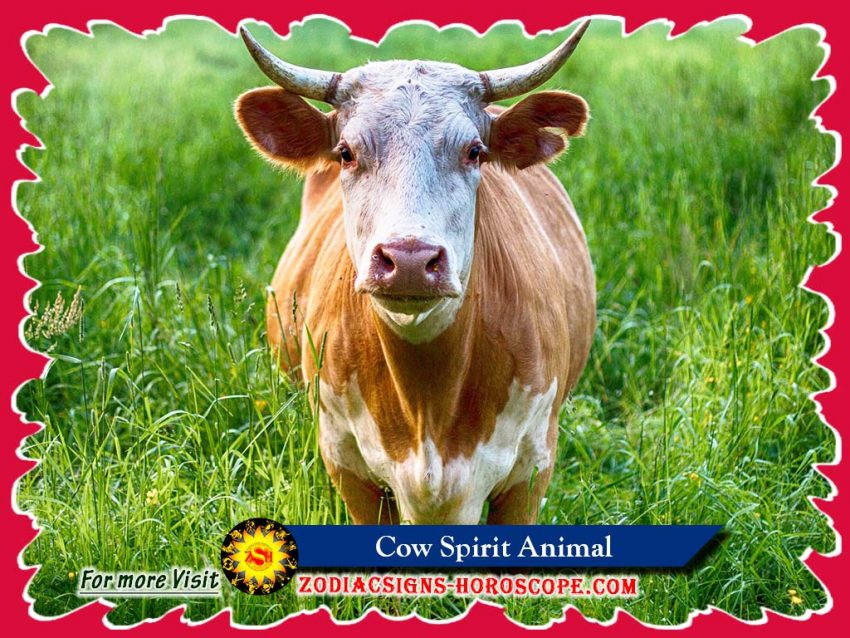 Cow Spirit Animal Cow Totem, Meaning, Symbolism and Cow Dream