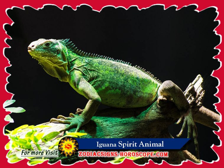 Iguana Spirit Animal Totem