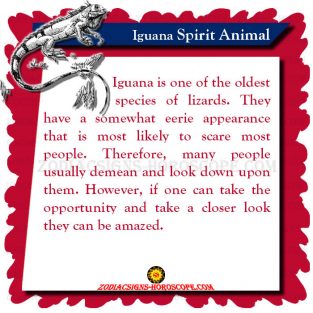 Iguana Spirit Animal: Totem, Meaning, Symbolism and Dream