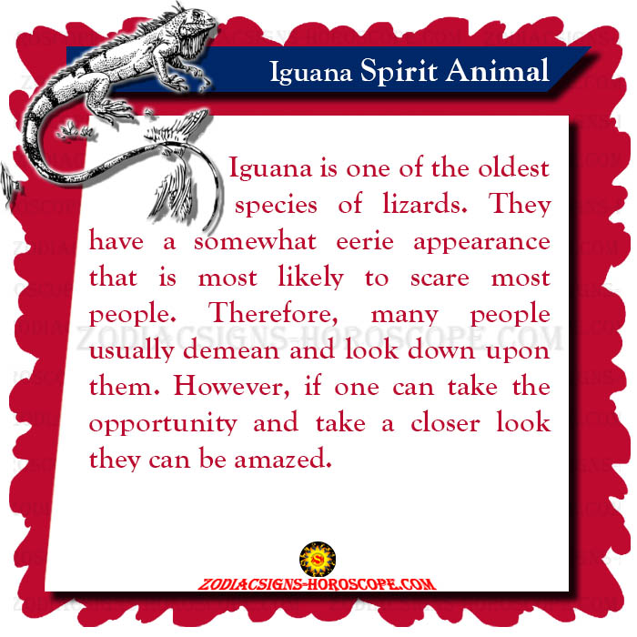Iguana Spirit Animal Meaning