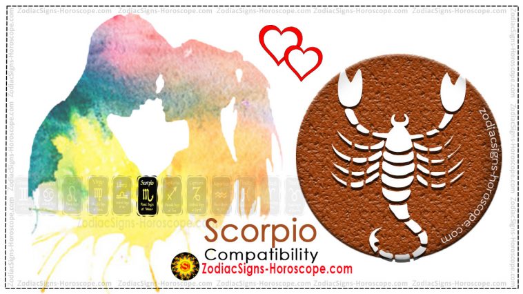 Compatibilité Scorpion avec 12 signes du zodiaque