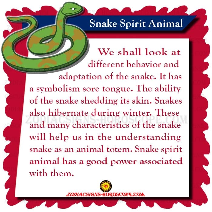 Snake Spirit Animal Meaning