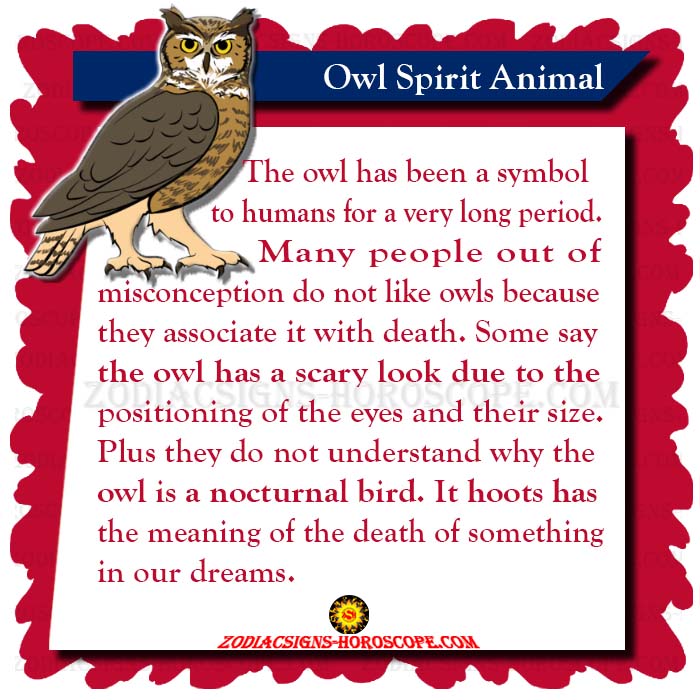 Owl Spirit Animal Meaning