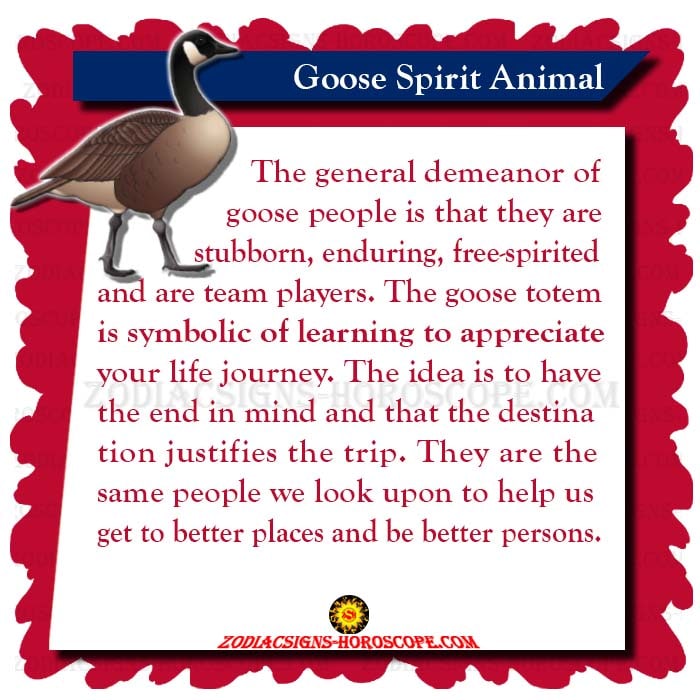 Goose Spirit Animal