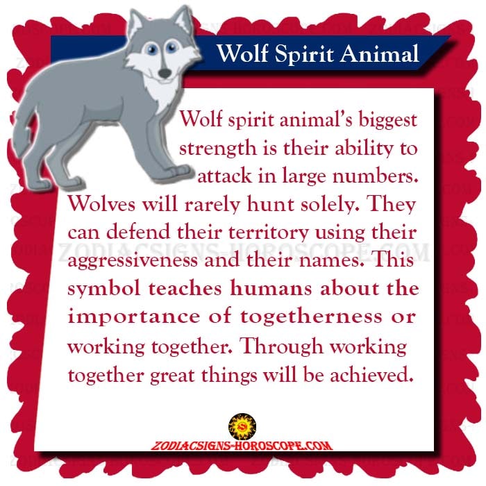 Wolf Spirit Animal Mening