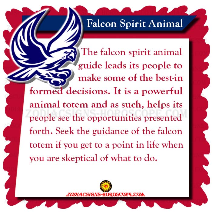 Žival Falcon Spirit