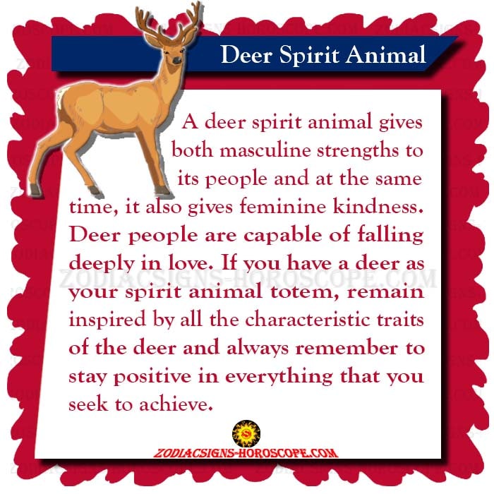 Deer Spirit Animal