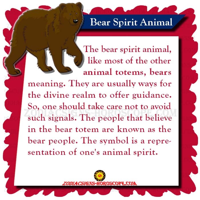 Significado del tótem del oso