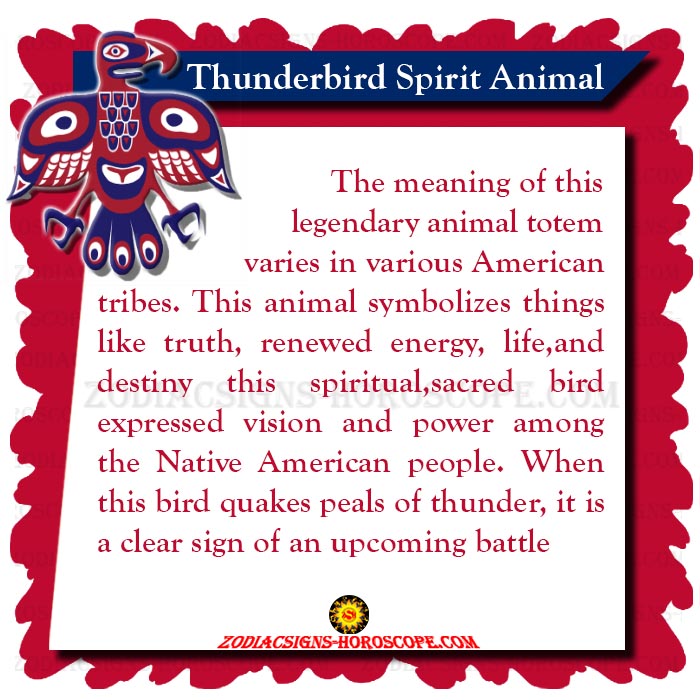 Thunderbird Animal Totem Symbolism