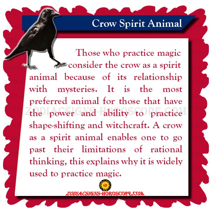 Crow Spirit Animal: Meaning, Symbolism, Dream of the Crow Totem