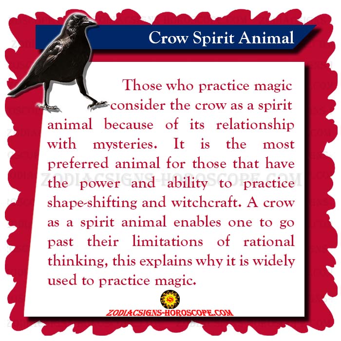 Crow Spirit Animal: Meaning, Symbolism, Dream of the Crow Totem Crow Spirit Animal: Meaning, Symbolism, Dream of the Crow Totem