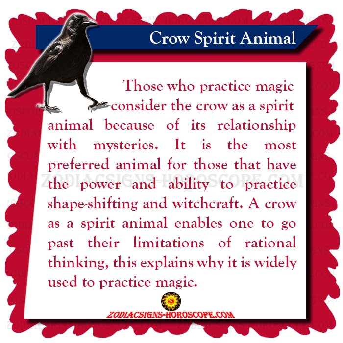 Crow Spirit Animal