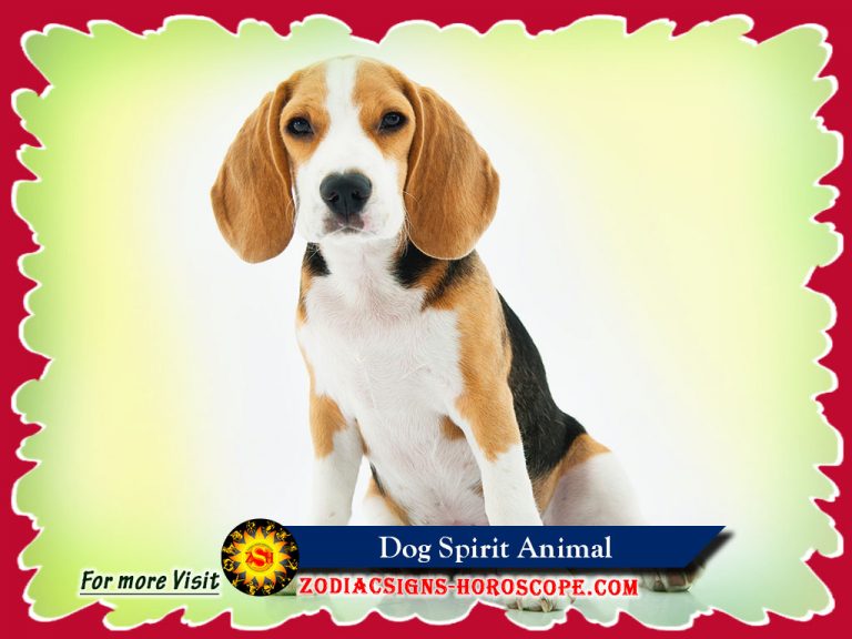 Dog Spirit Animal Meaning, Symbolism, Dream of the Dog Totem