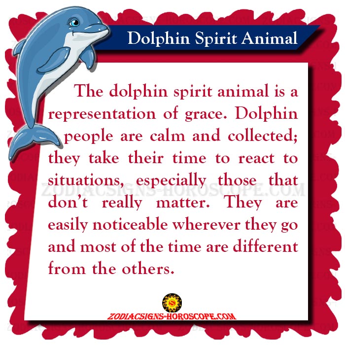 Dolphin Spirit Animal: Meaning, Symbolism, Dream of Dolphin Totem