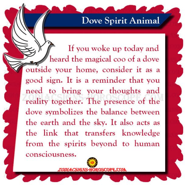 Dove Spirit Animal Meaning, Symbolism, Dream of the Dove Totem