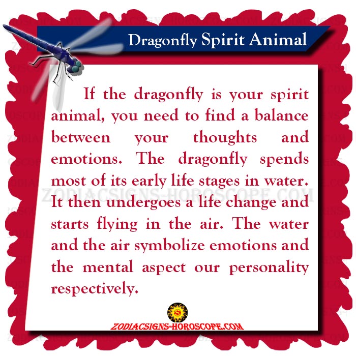 Dragonfly Spirit Animal