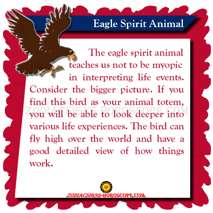 Eagle Spirit Animal