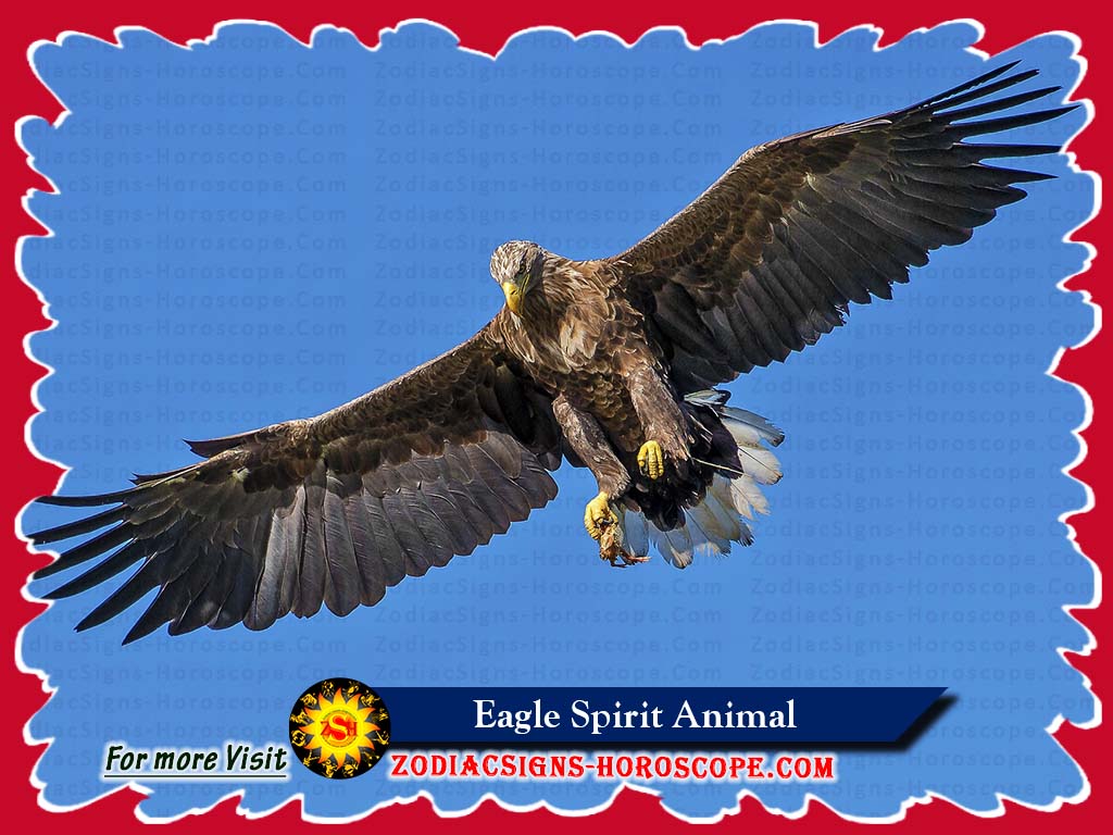 Eagle Spirit Animal Meaning, Symbolism, Dream of the Eagle Totem