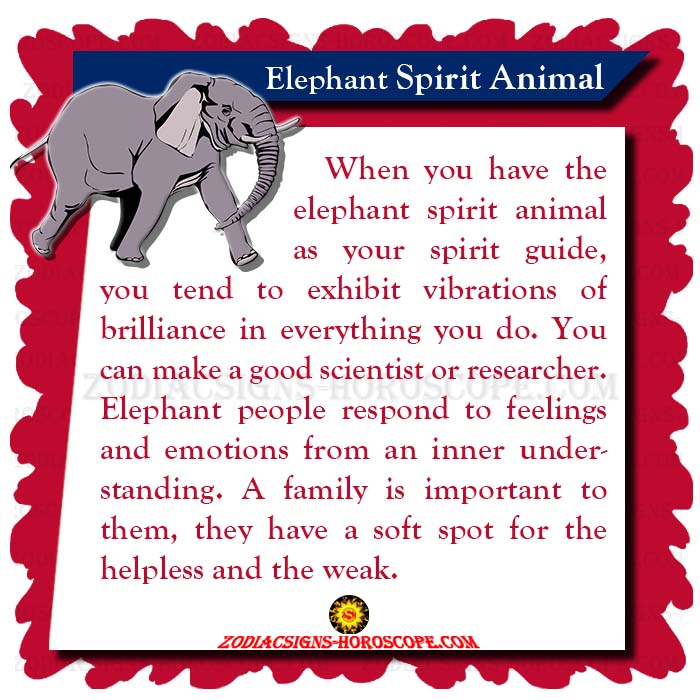 Elephant Spirit Animal