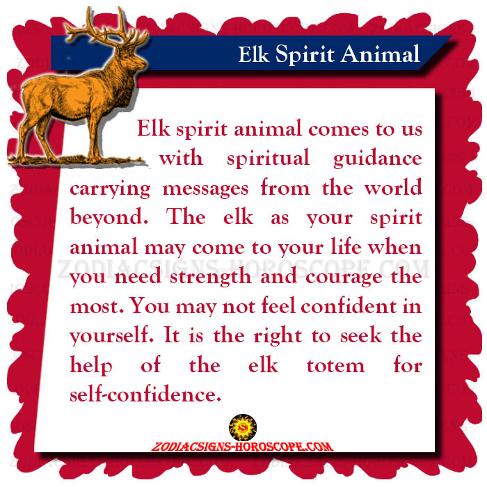 Elk Spirit Animal: Meaning, Symbolism, Dreams of the Elk Totem