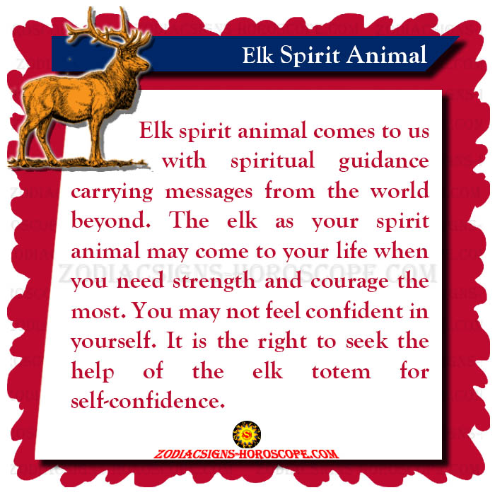 Elk Spirit Animal