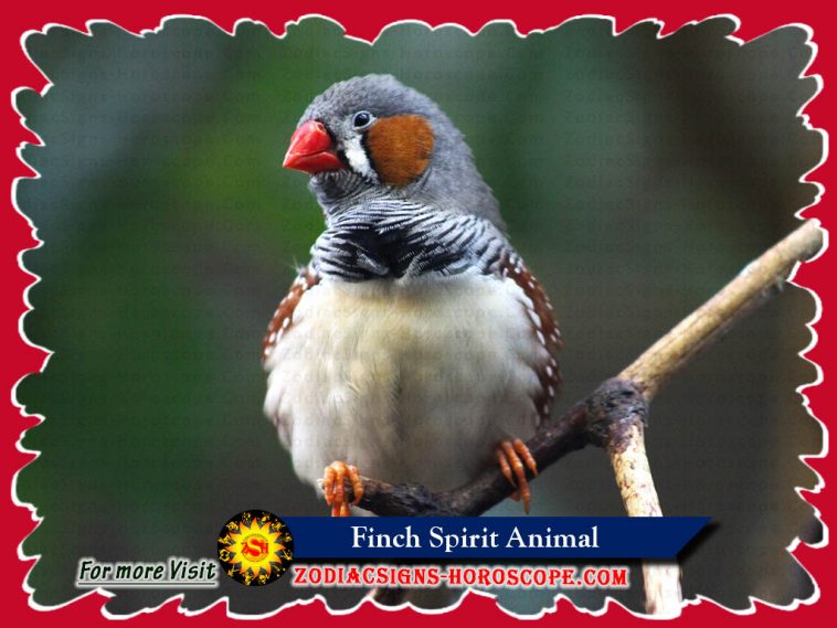 The Finch Spirit Animal: Meaning, Symbolism, Dreams of ...