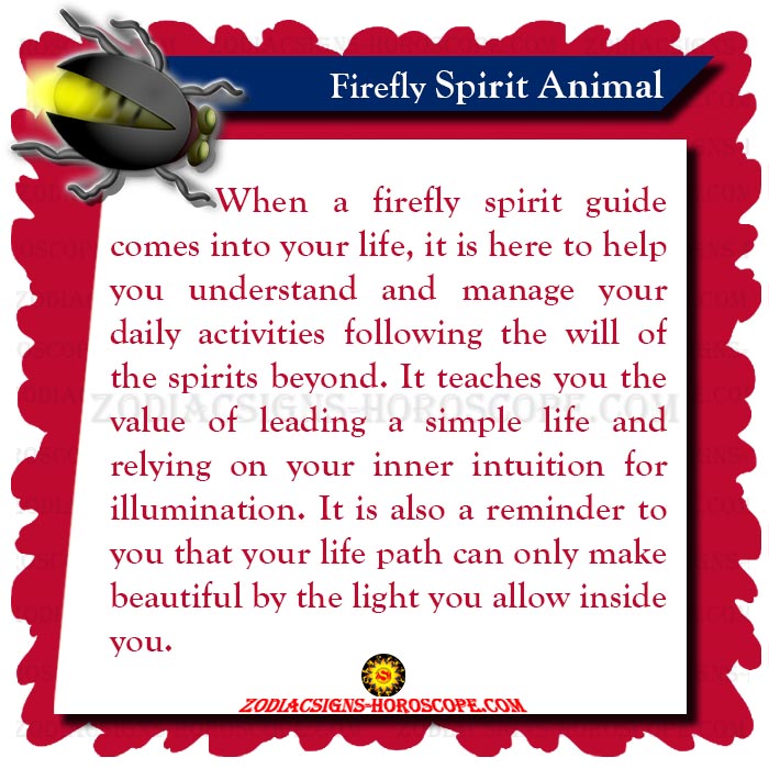 The Firefly Spirit Animal