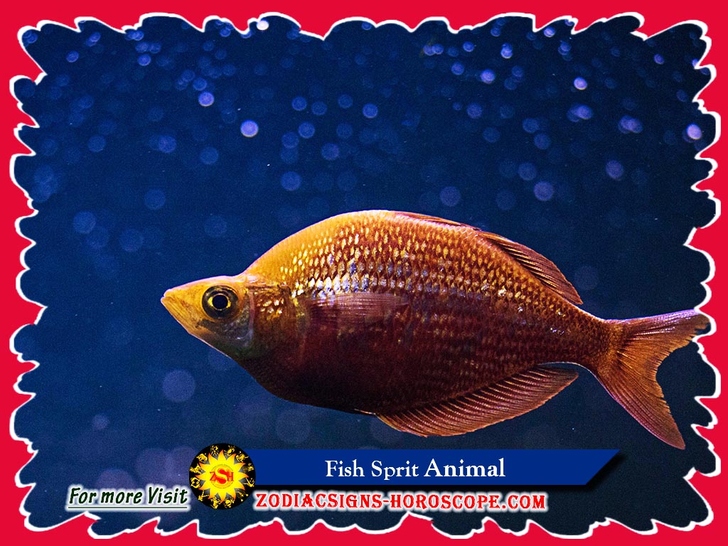 Fish Spirit Animal Meaning, Symbolism, Dreams of the Fish Totem