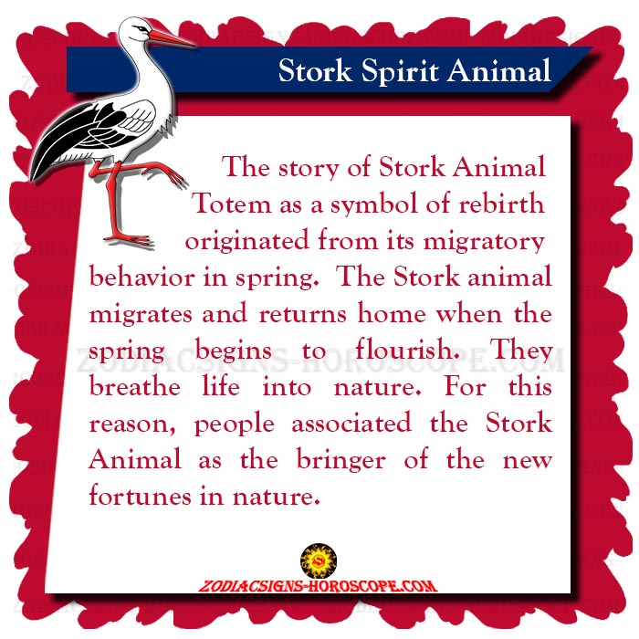 Stork Spirit Animal