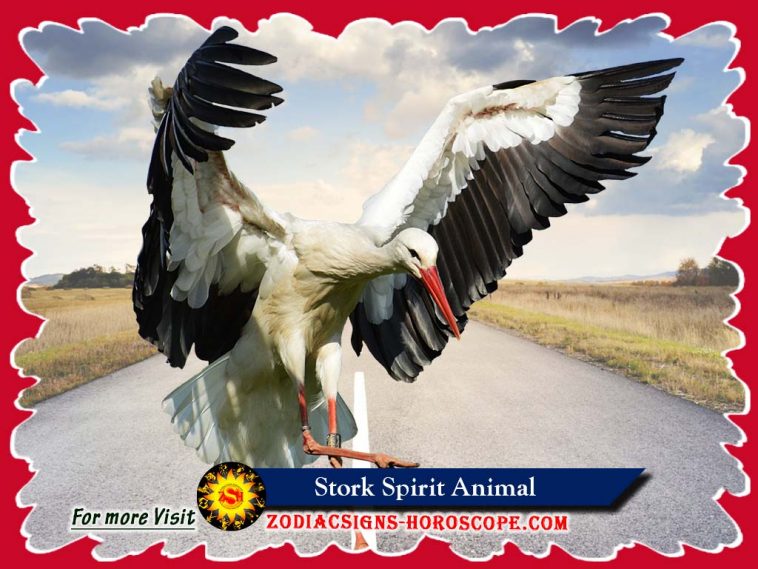 The Stork Animal Totem