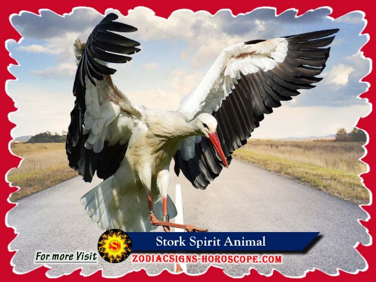spooky stork meaning