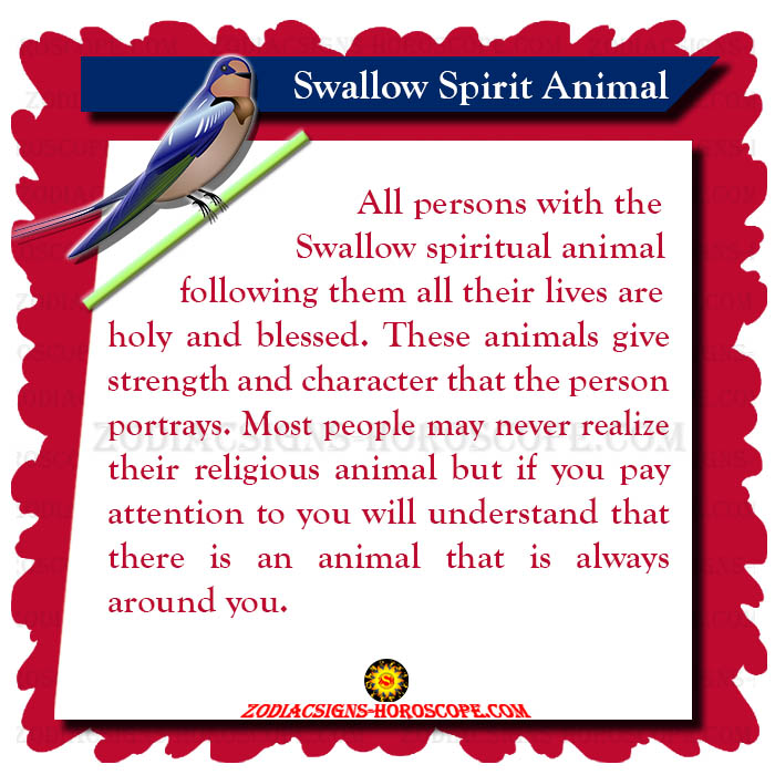 Swallow Spirit Animal