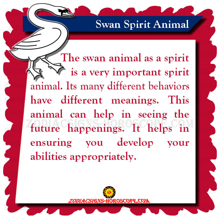 Swan Spirit Animal: Meaning, Symbolism, Dreams of the Swan Totem