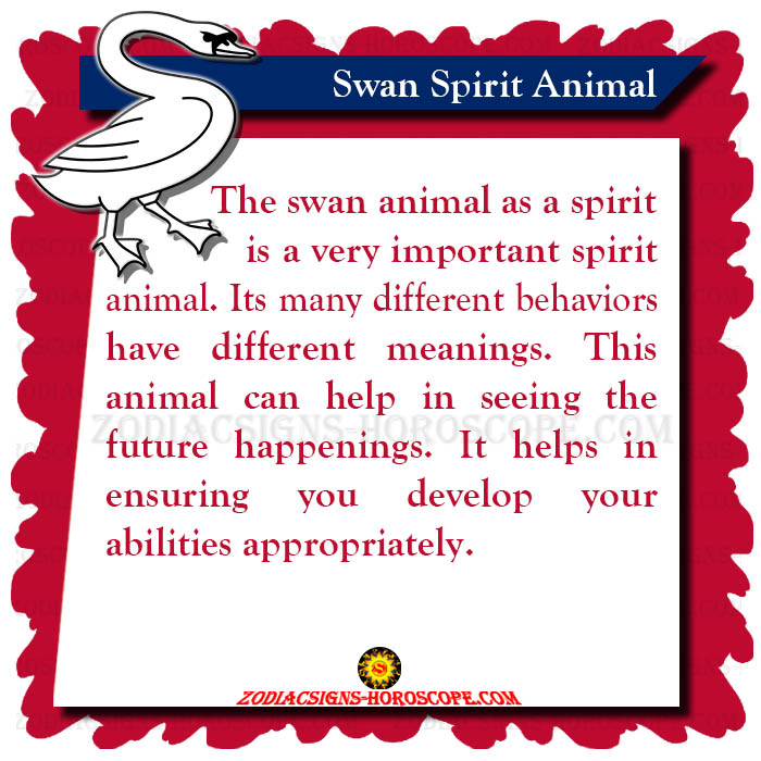 Swan Spirit Animal