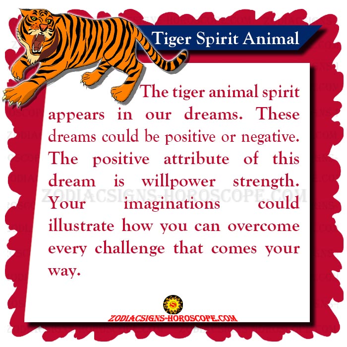 Tiger Spirit Animal