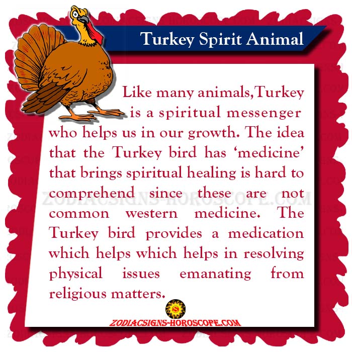 Turkey Spirit Animal