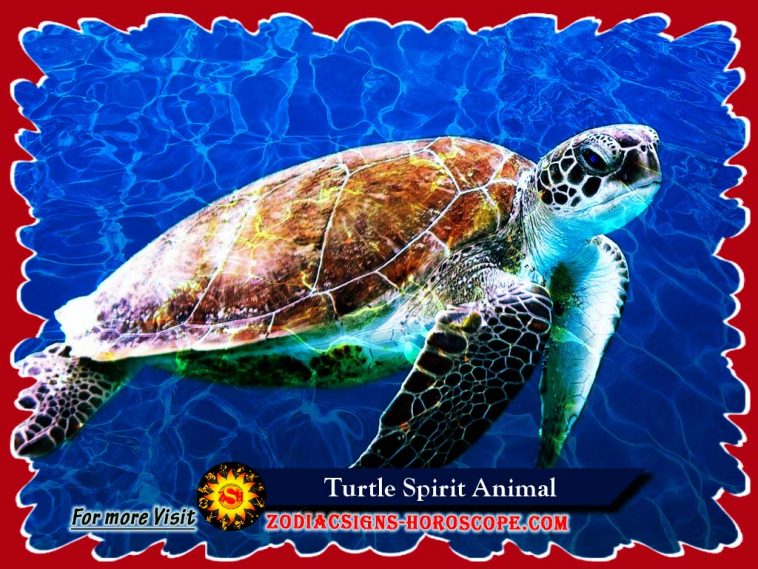 The Turtle Spirit Animal