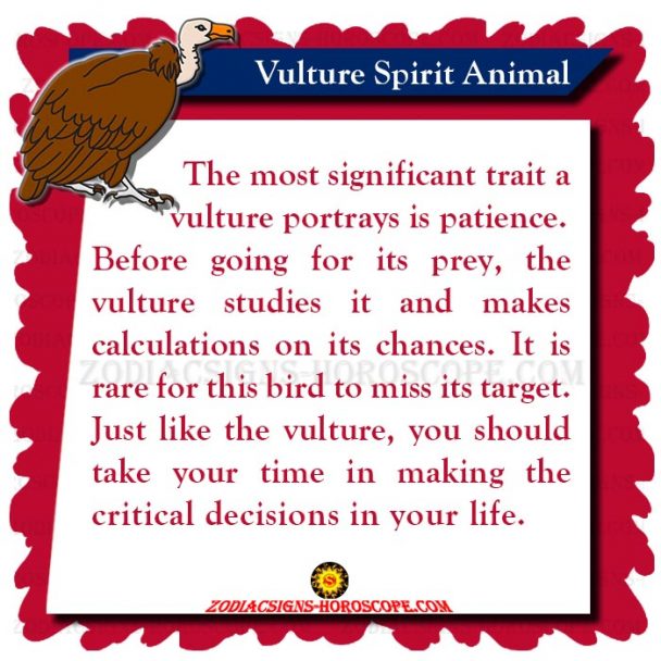 Vulture Spirit Animal Meaning, Symbolism, Dream of Vulture Totem