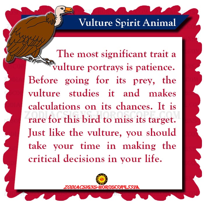 Vulture Spirit Animal