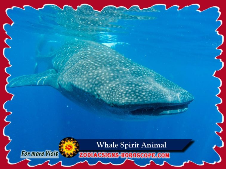 A bálna szellem állat
