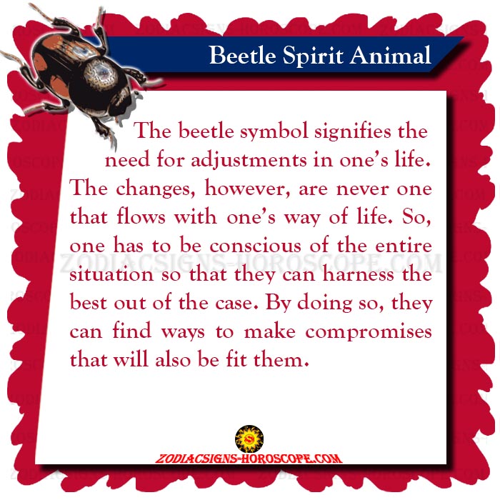 Beetle Spirit Animal Symbolism