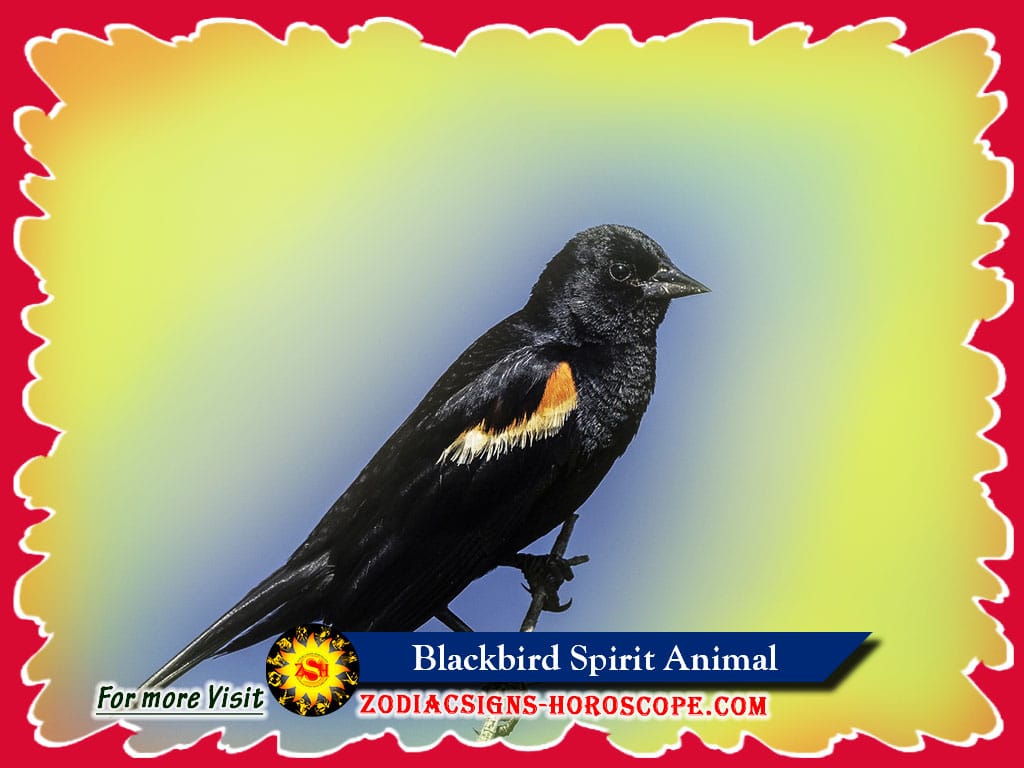 Spirit Animal Blackbird