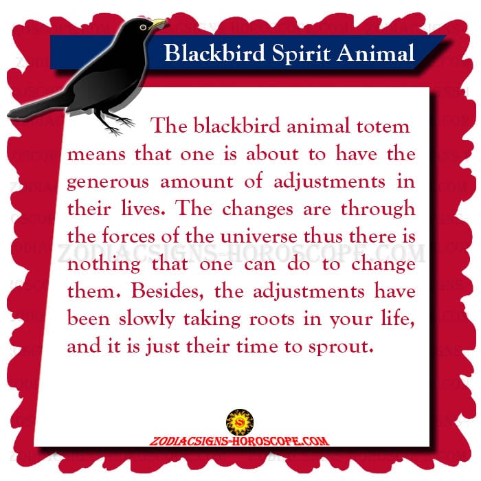 Blackbird Spirit Animal Meaning