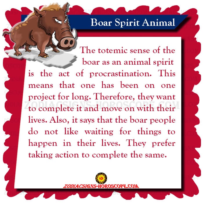 Boar Spirit Animal Meaning