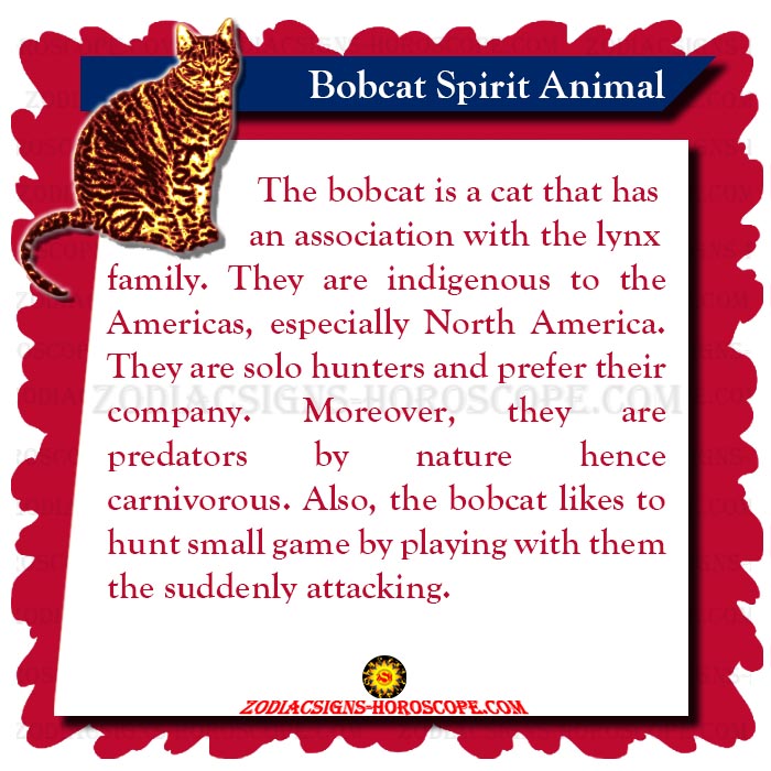 Bobcat Spirit Animal Meaning