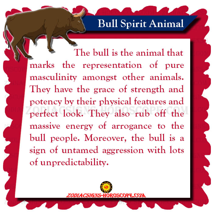 Bull Spirit Animal Meaning